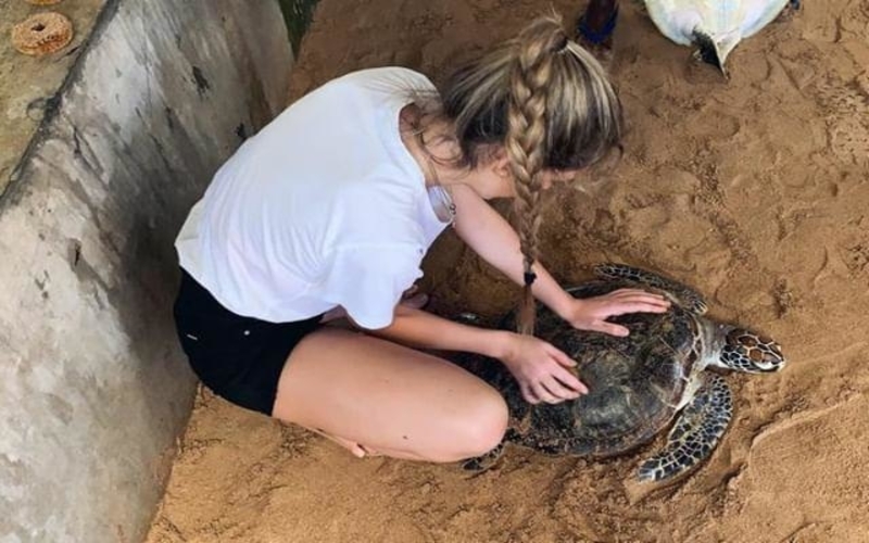 Sea Turtles Volunteering with Voluntering Solutions in Sri Lanka
