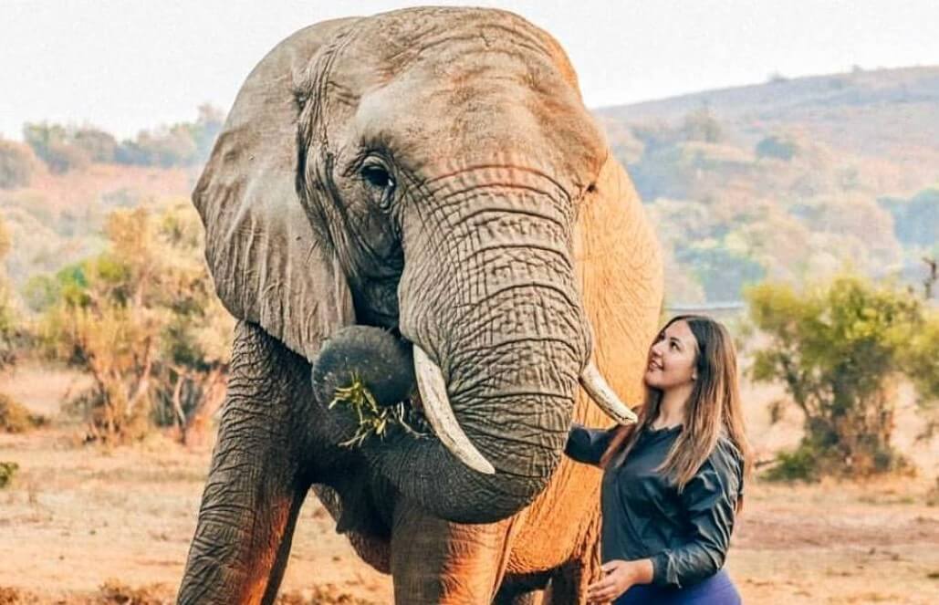 Elephant Conservation & Wildlife Volunteering Program in South Africa with GoEco