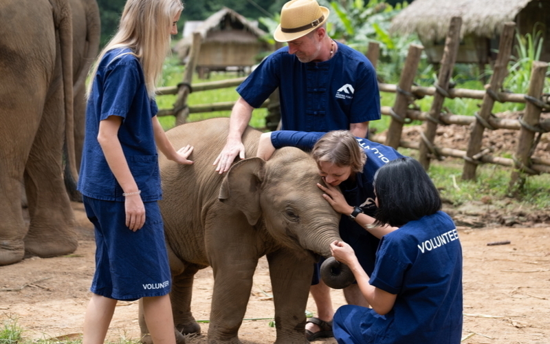 Elephant Camp Project in Thailand with Volunteering Solutions