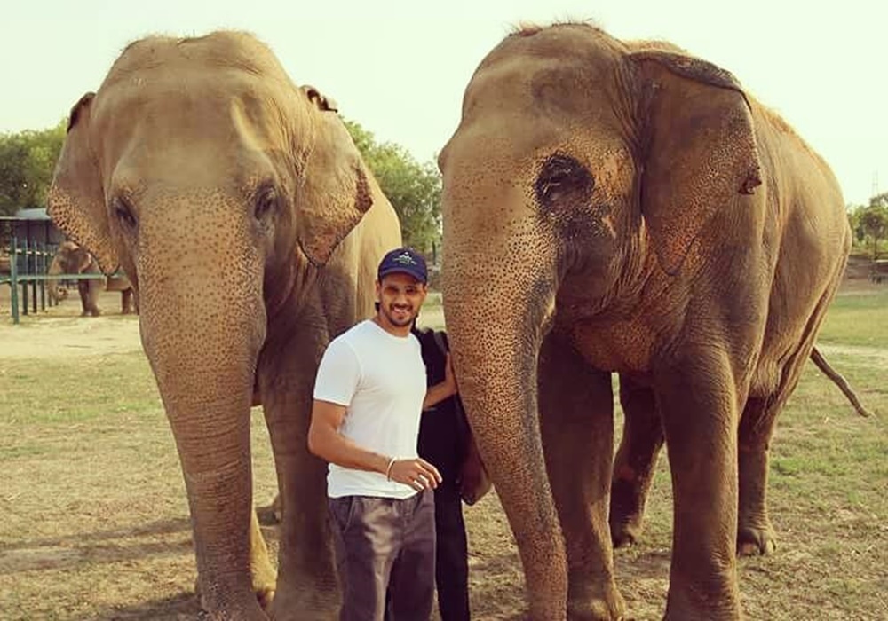 elephant volunteering india