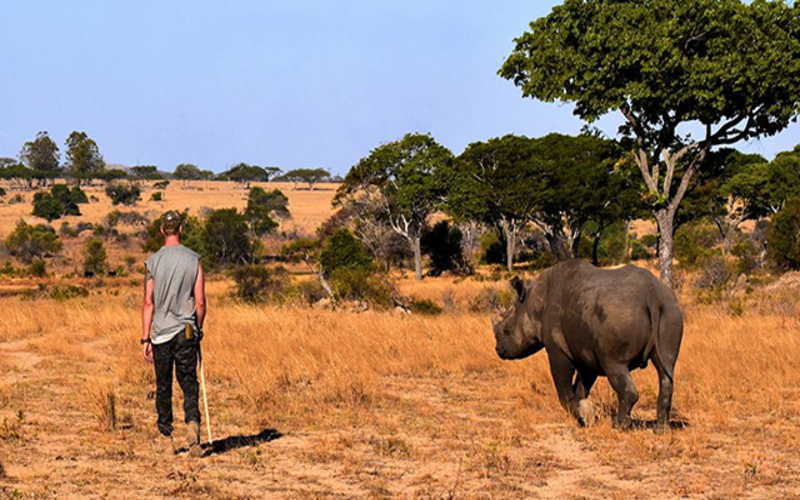 Horse Riding & Rhino Conservation in Zimbabwe with Gap Year