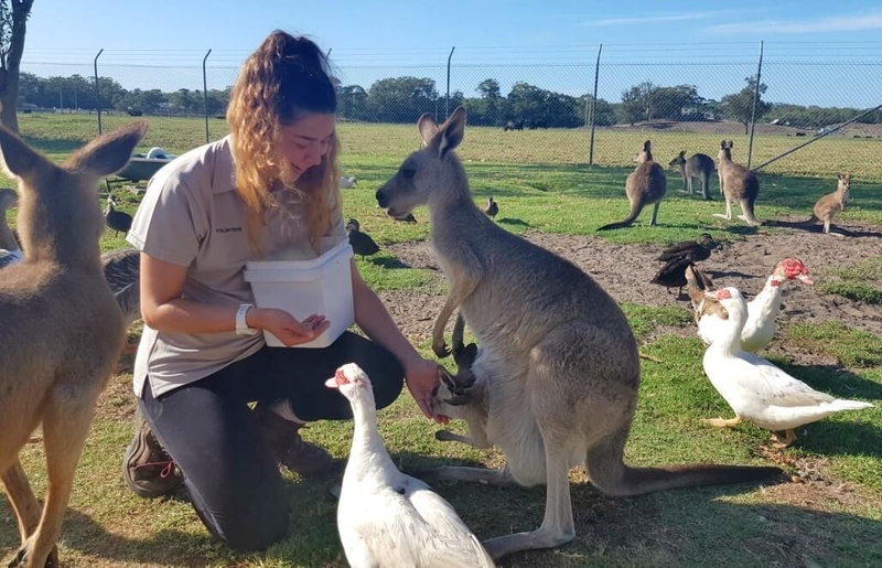 Port Stephens Wildlife Sanctuary in Australia with GoEco