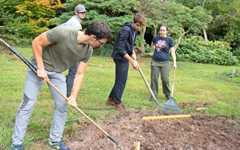 Volunteer in Ireland