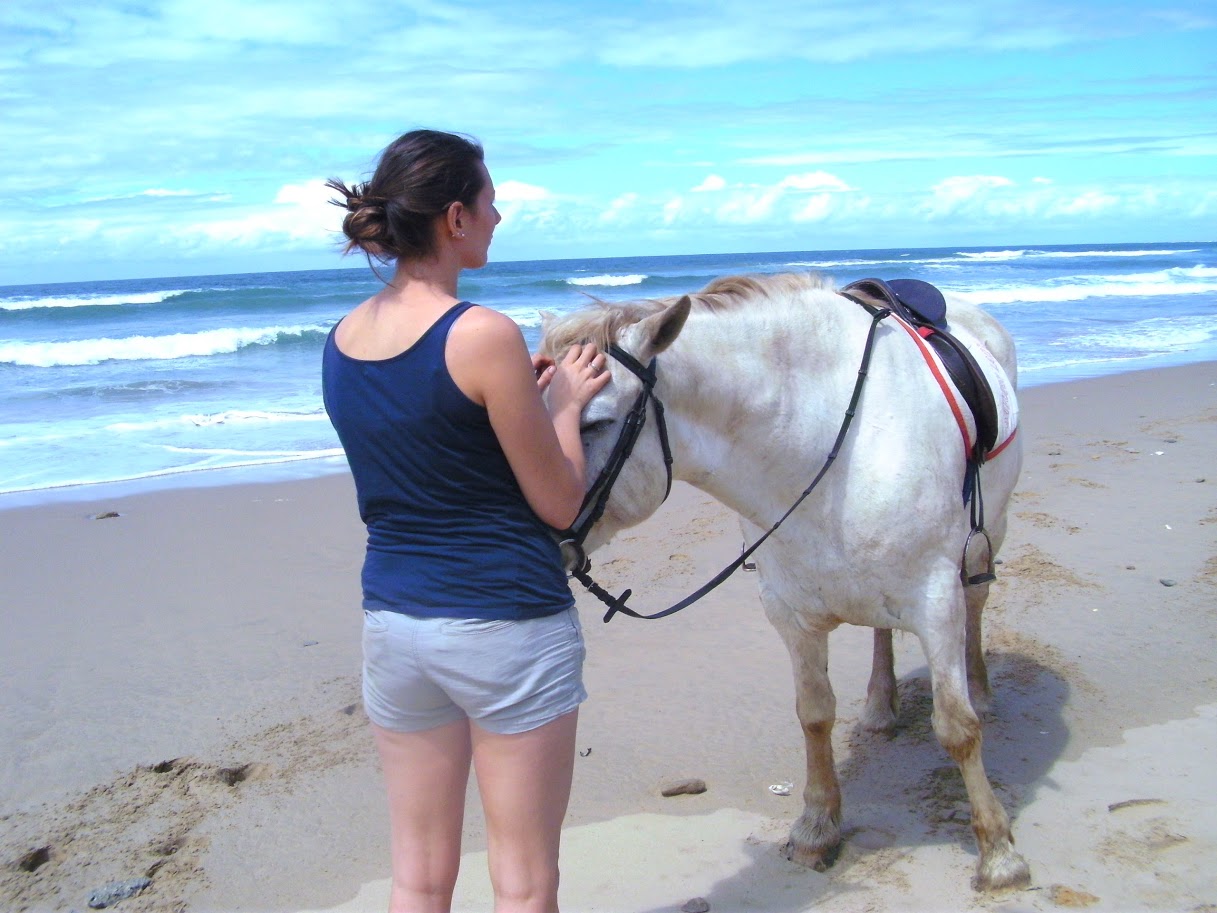 Horse rehabilitation