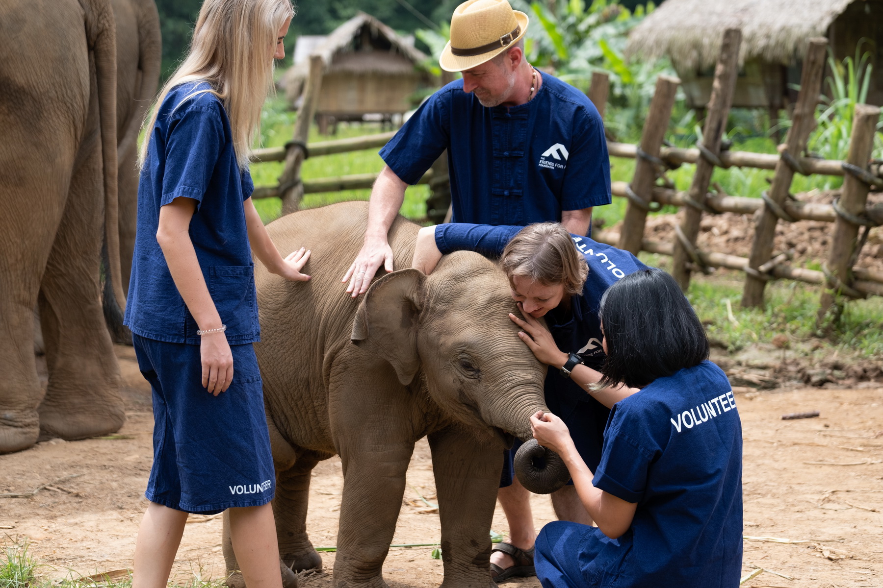 Volunteer With Elephants with volsol