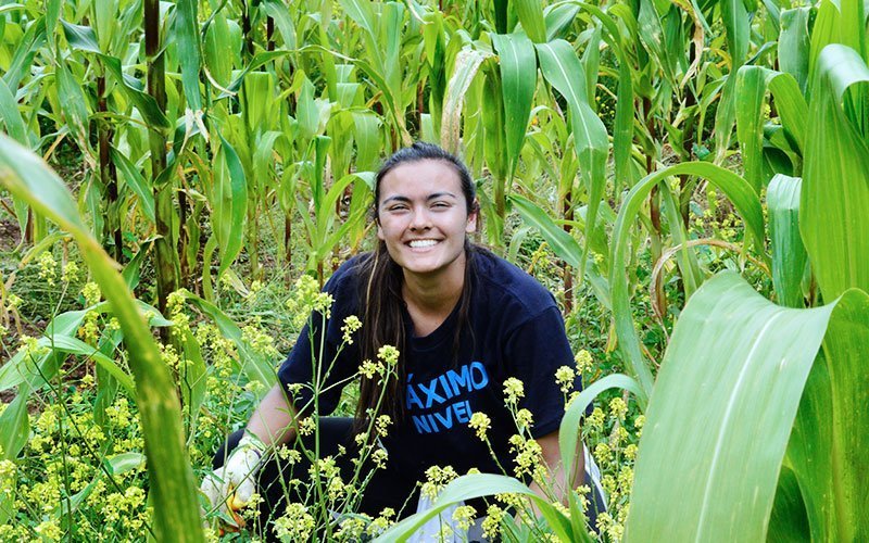 volunteer in peru