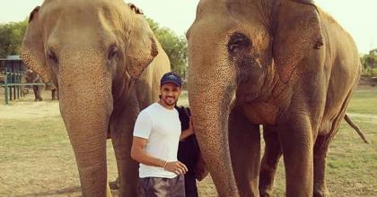 Volunteer Abroad with Elephants